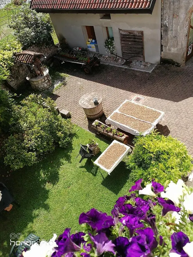 Farm stay Agriturismo Antica Pieve Limana Italy